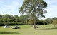 Bents Basin Campground 01